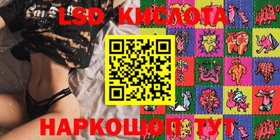 прущие грибы Краснокаменск