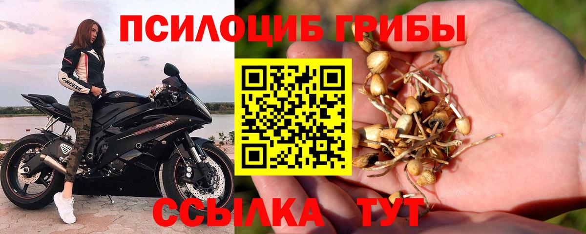 Галлюциногенные грибы прущие грибы  Вход с VPN  Янаул 